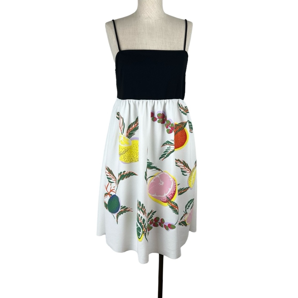 Zara Women's Dresses Zara Fruit Babydoll Sundress Sz M